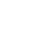 logo light