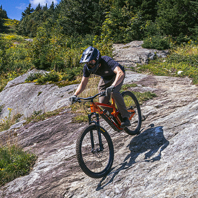 Mountain biker riding down a rocky trail surrounded by green trees and wildflowers.